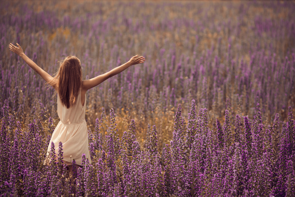 Indulge Yourself Lavender Farms in Spring | MEVEI Luxury essential oils